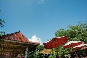 darsan lembongan boutique cottage