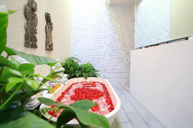 the wina villa canggu