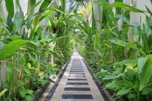 the wina villa canggu