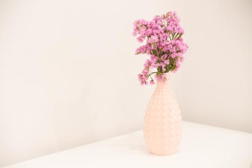 santiago de compostela