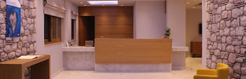pylos nestoras