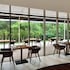 sheraton kosgoda turtle beach resort