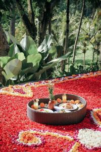 bucu view ubud resort