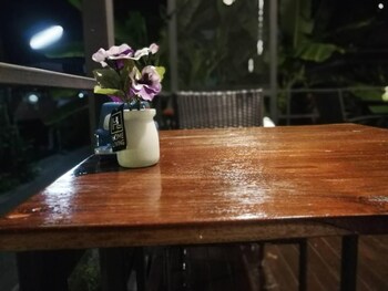 white monkey guesthouse