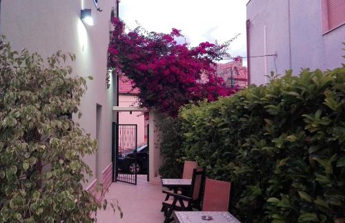 La Casa Del Nonno,Campomarino>>Campobasso,3 star