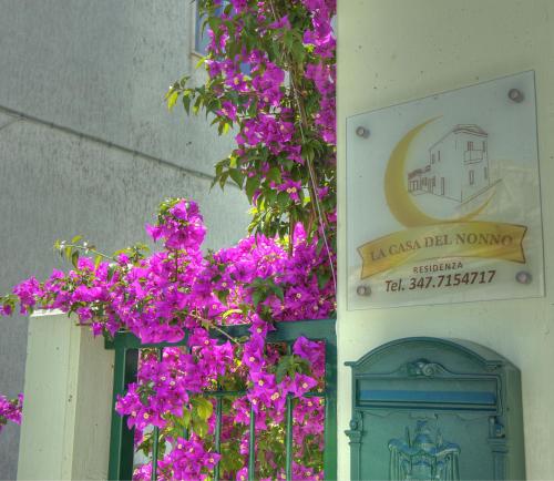 La Casa Del Nonno,Campomarino>>Campobasso,3 star