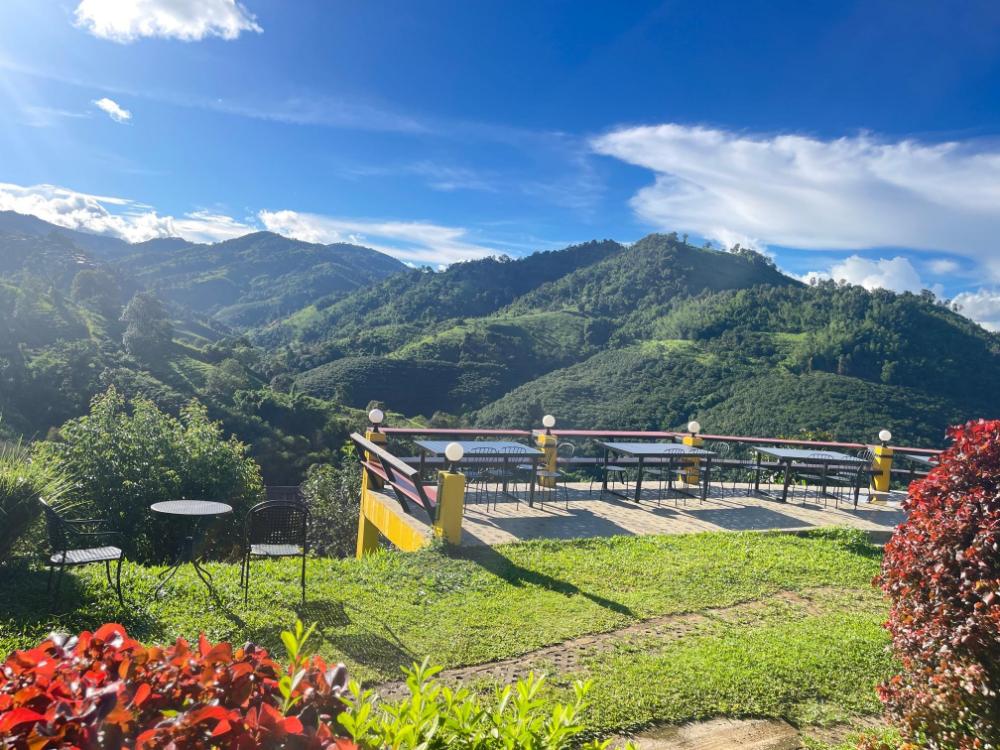 mae fa luang