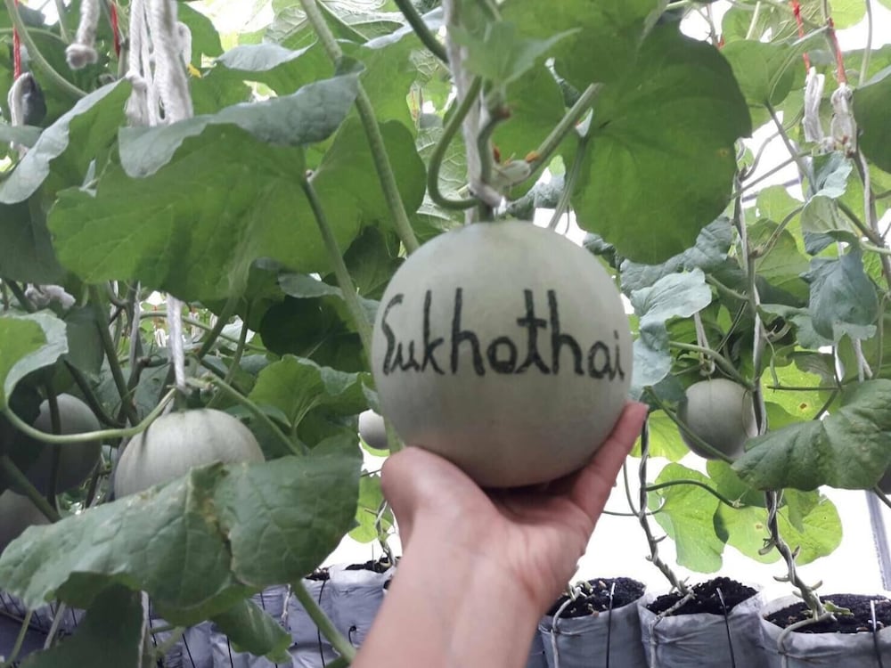 sukhothai city resort