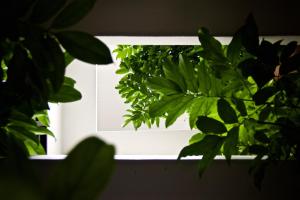 balcony villa koh tao