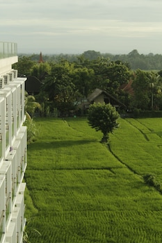 the evitel resort ubud