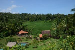 bali lush