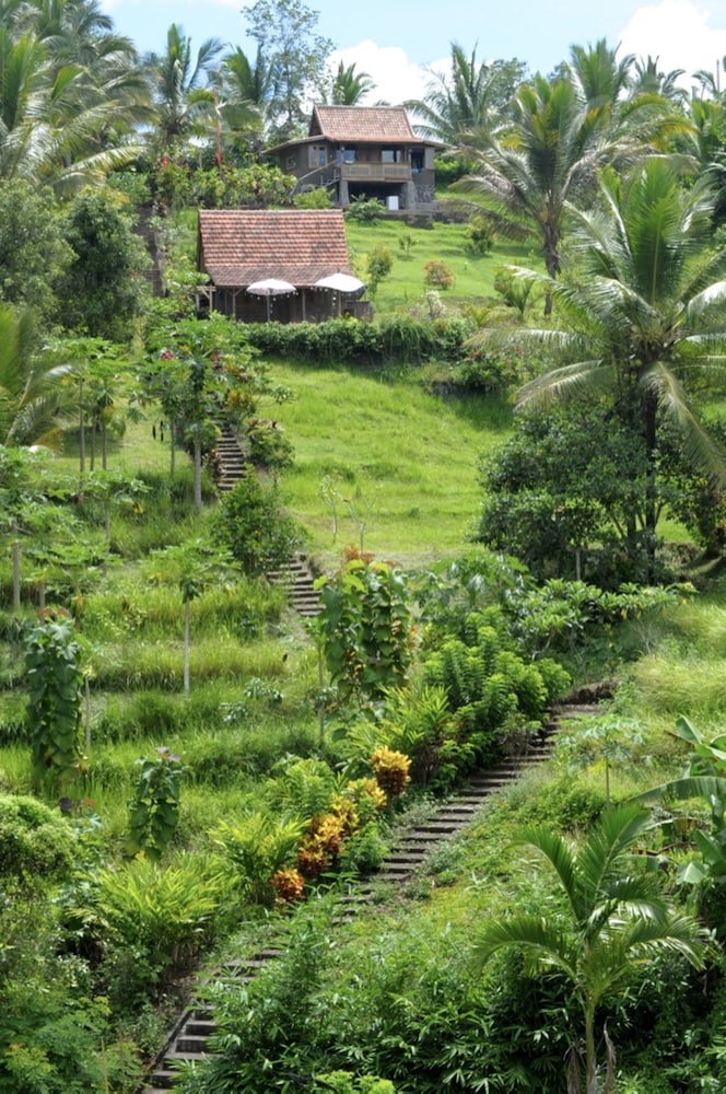 bali lush