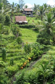 bali lush