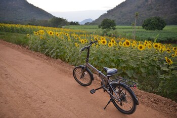 mela garden retreat cottage