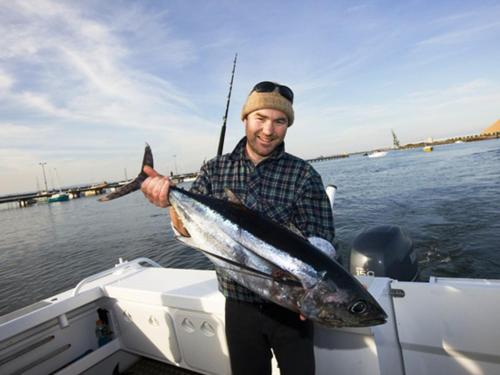 nrma portland bay holiday park