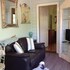 must love dogs bandb