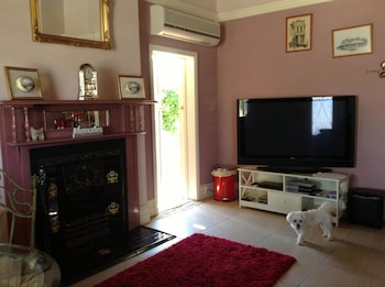 must love dogs bandb