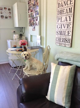 must love dogs bandb
