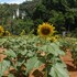 takhun mountain view hotel