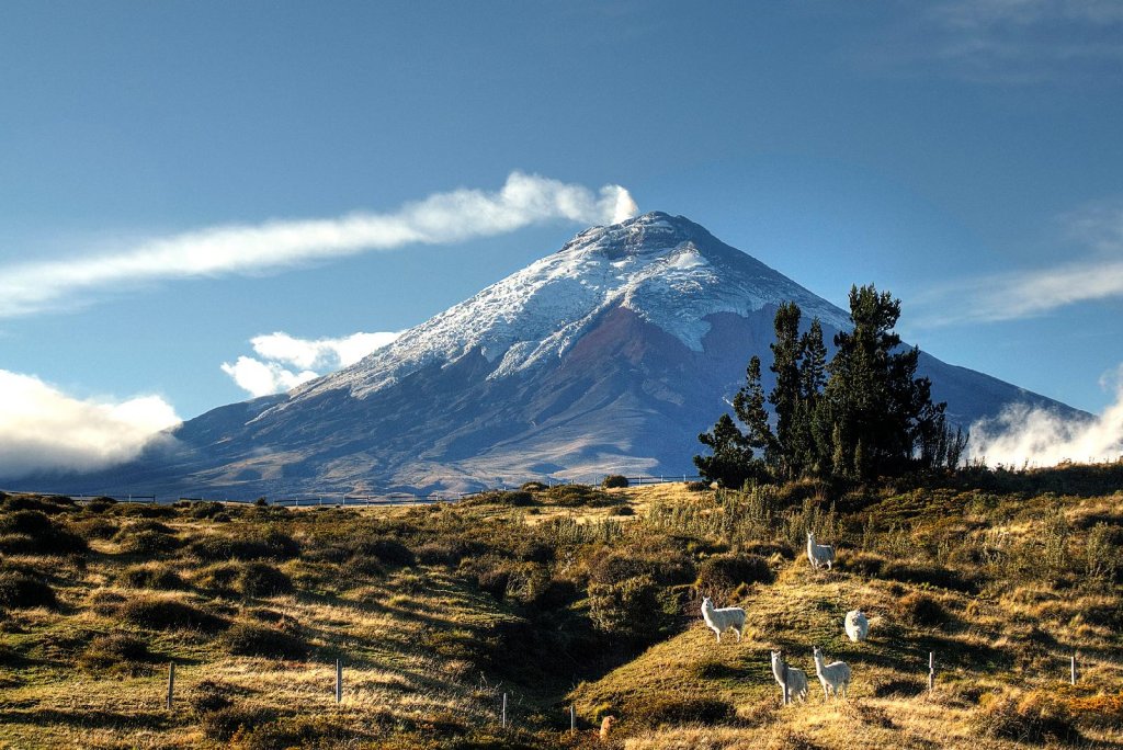 Hacienda Los Mortiños,Cotopaxi Province>>Cotopaxi National Park,3 star