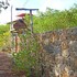 puerto ayora