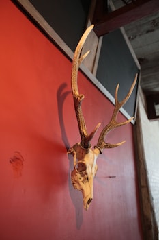 Kamp Houkan-Cho Backpacker's Inn & Lounge - Hostel,Maniwa>>Kurashiki,2 star