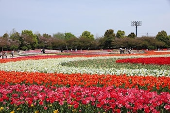 saiounomiya