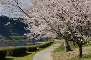 saiounomiya