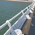 torquay