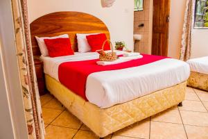 the stone guest house