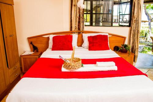 the stone guest house