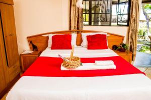 the stone guest house