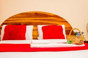 the stone guest house