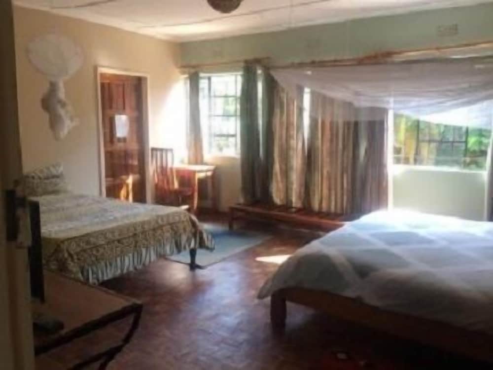 the stone guest house