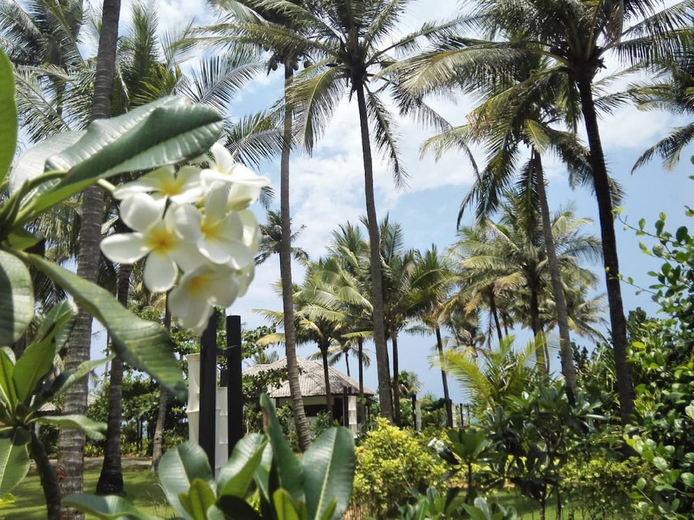 the emerald sea resort