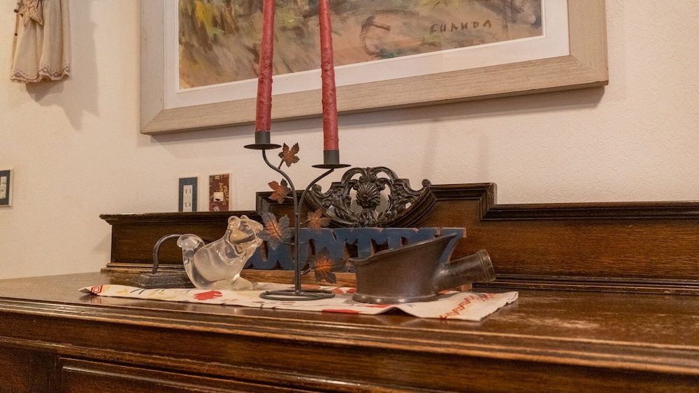 pension and log cottage hoshinoko