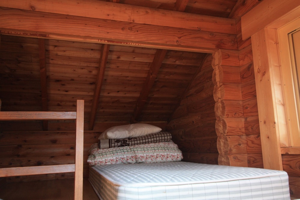 pension and log cottage hoshinoko
