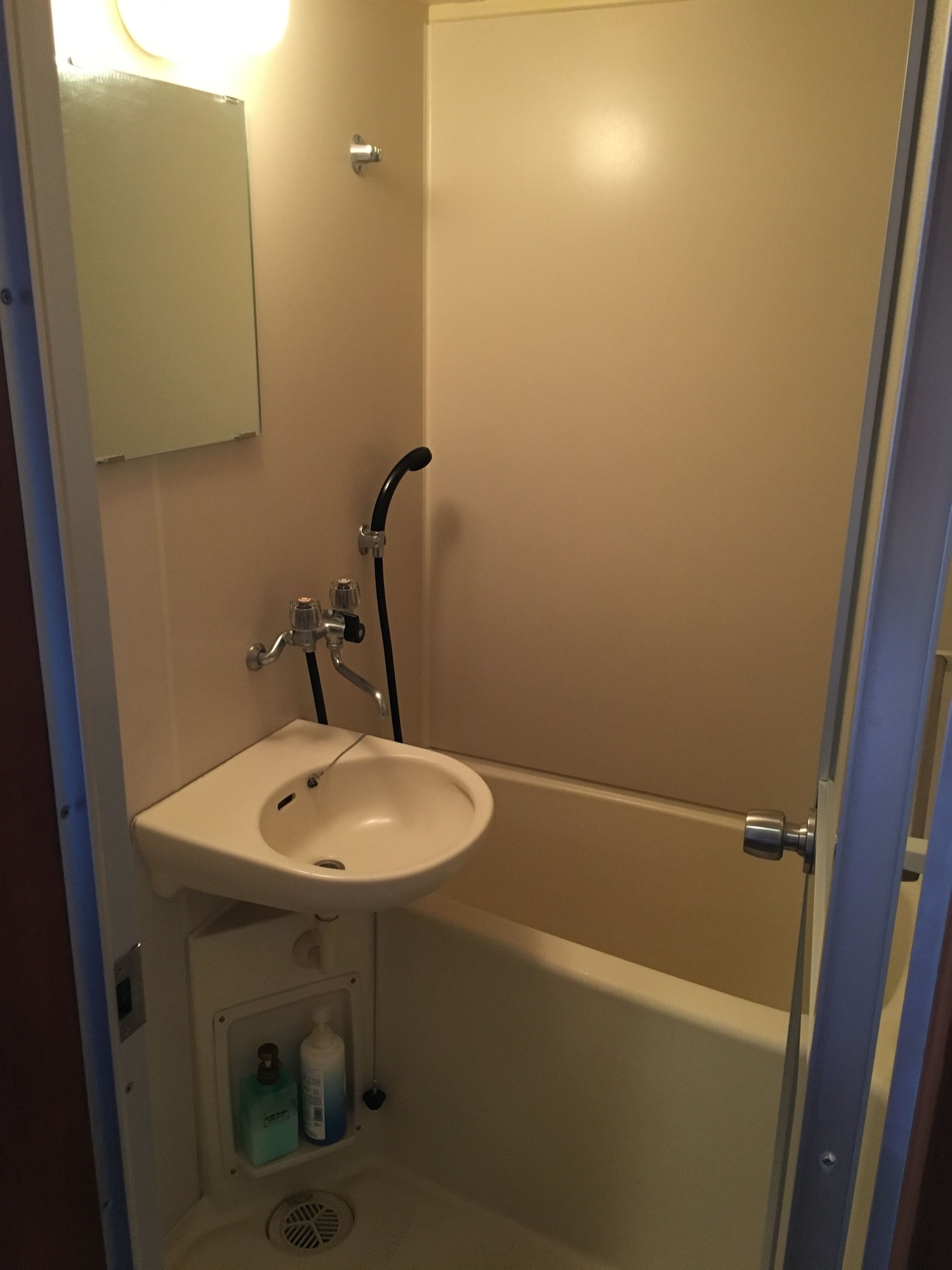 pension and log cottage hoshinoko