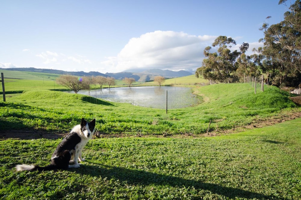 rouxwil country house