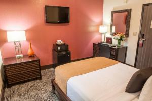 hotel fusion