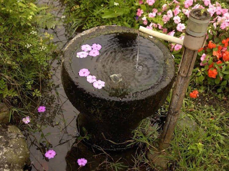 love in pearl hostel