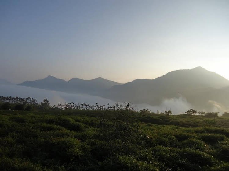 pu su bed and breakfast