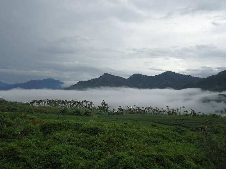 pu su bed and breakfast