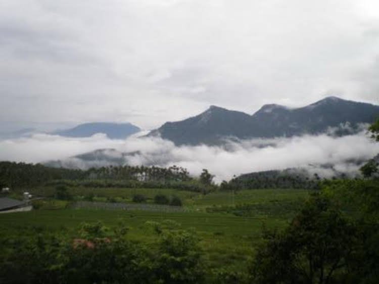 pu su bed and breakfast