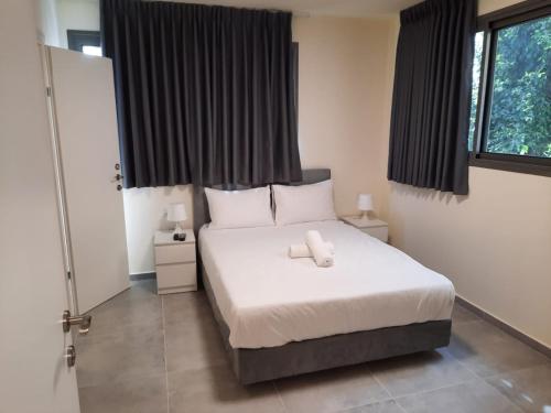 dizengoff inn