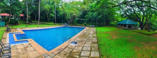 dambuluy oya family park