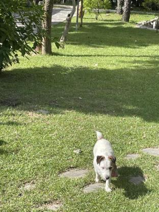 Pens Tree Bed And Breakfast,Taitung>>Luye,3 star