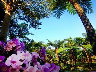 Pens Tree Bed And Breakfast,Taitung>>Luye,3 star