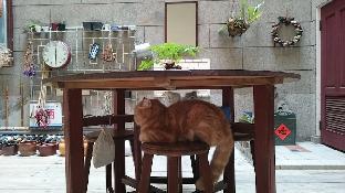 the vintage maison tainan