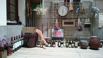 the vintage maison tainan